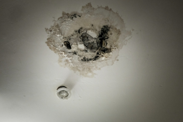 Photo of a ceiling with mold.